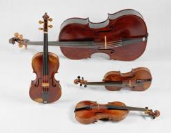 Violine