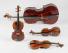 Violine